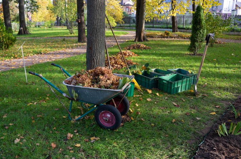 Brush Clearing Service in Salt Lake City, UT