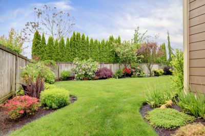 Improve The Look of Your Backyard!
