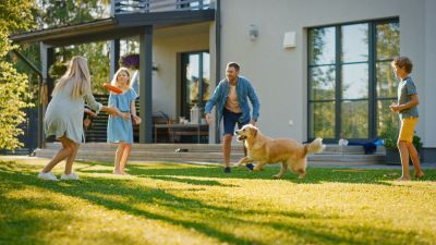 Improve The Usability of Your Backyard!