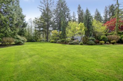 Increase Your Property Value!