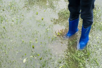 Prevent Drainage Issues!